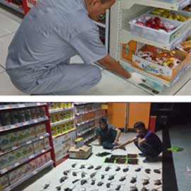 成都商超超市鼠害消杀案例