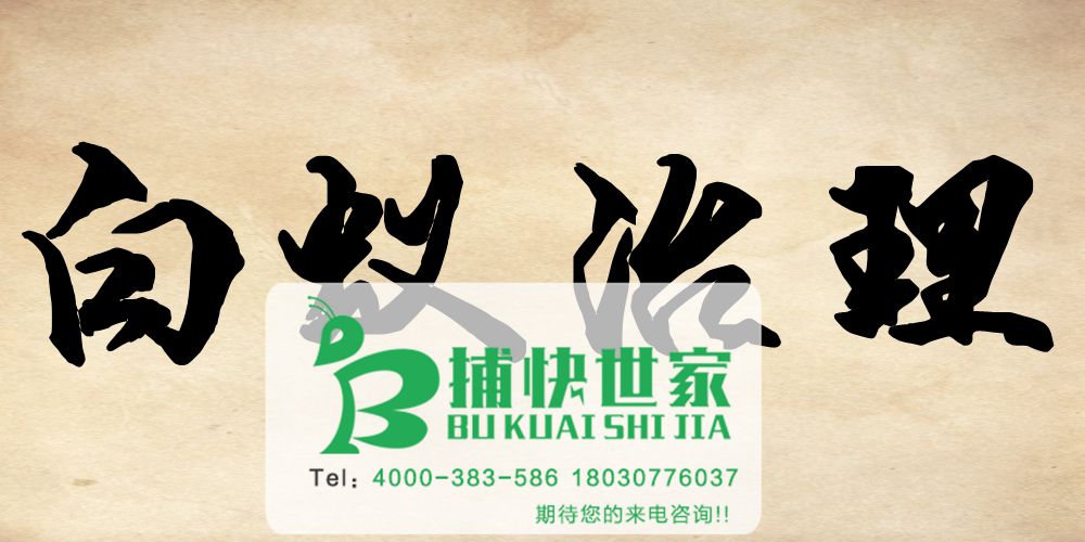 成都白蚁入侵：家里白蚁怎么防治
